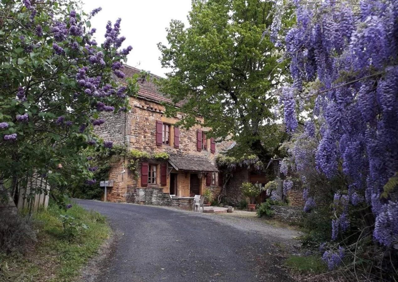 La Libellule And Le Papillon Gites At Les Leroux, Near Frayssinet-Le-Gelat Frayssinet-le-Gélat Exterior foto